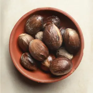 Premium Jathikai (Nutmeg) – The Essence of Spices